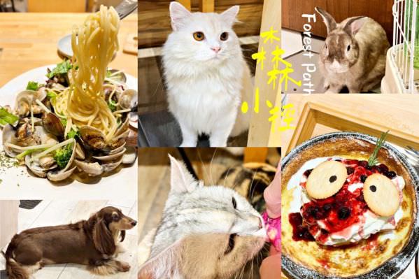 森林小徑健行店對寵物超友善